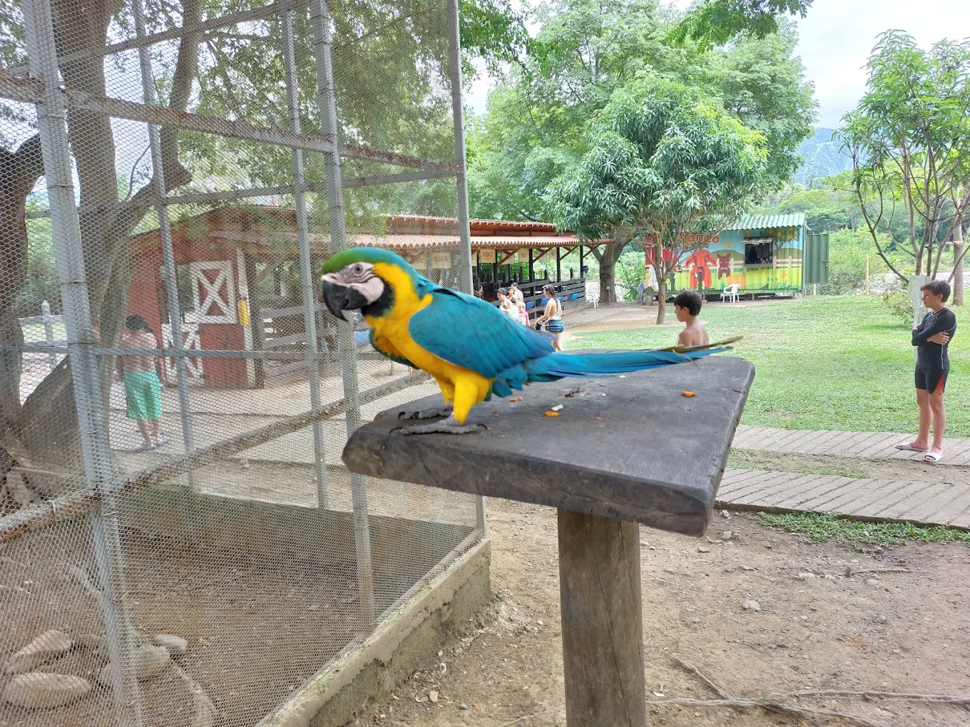 Familia visitando Parque Kanaloa y Granja Makondo cerca de Medellín