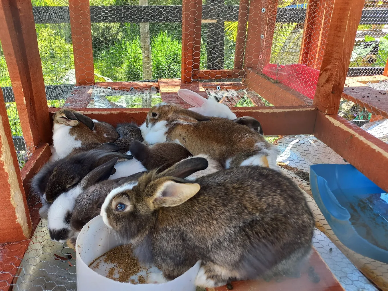 Espacios familiares y animales en Parque Temático San José